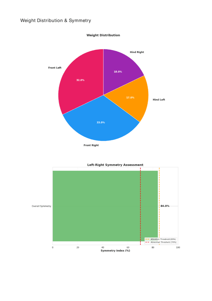 Rapport PDF téléchargeable