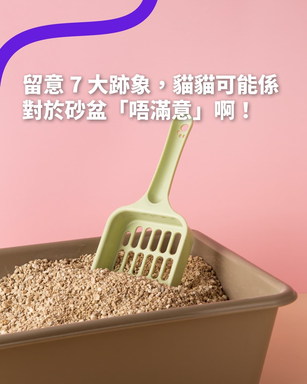 Decoding Your Dog's Bedtime Rituals: Circling and Scratching the Bed Isn't Just for Fun!