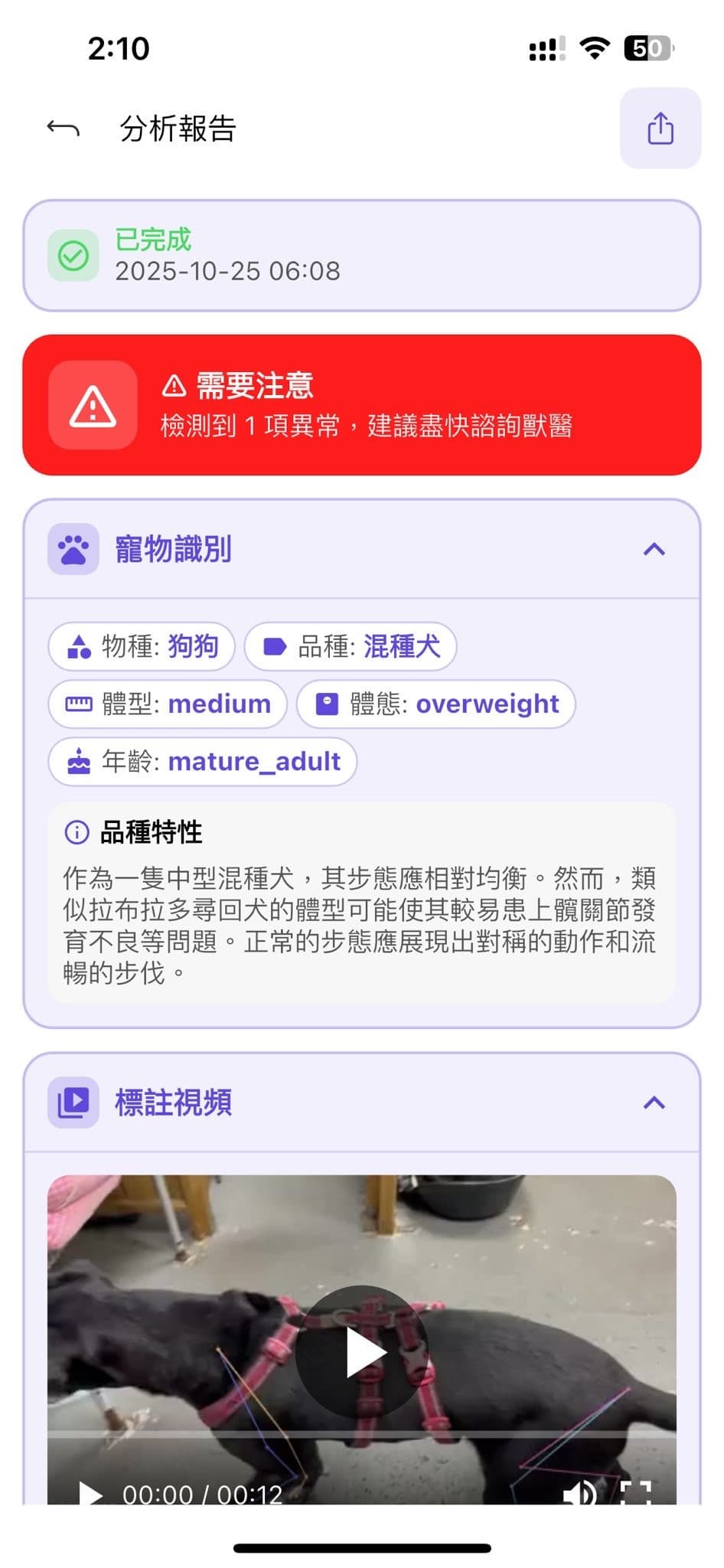 Gait analysis report with pose estimation