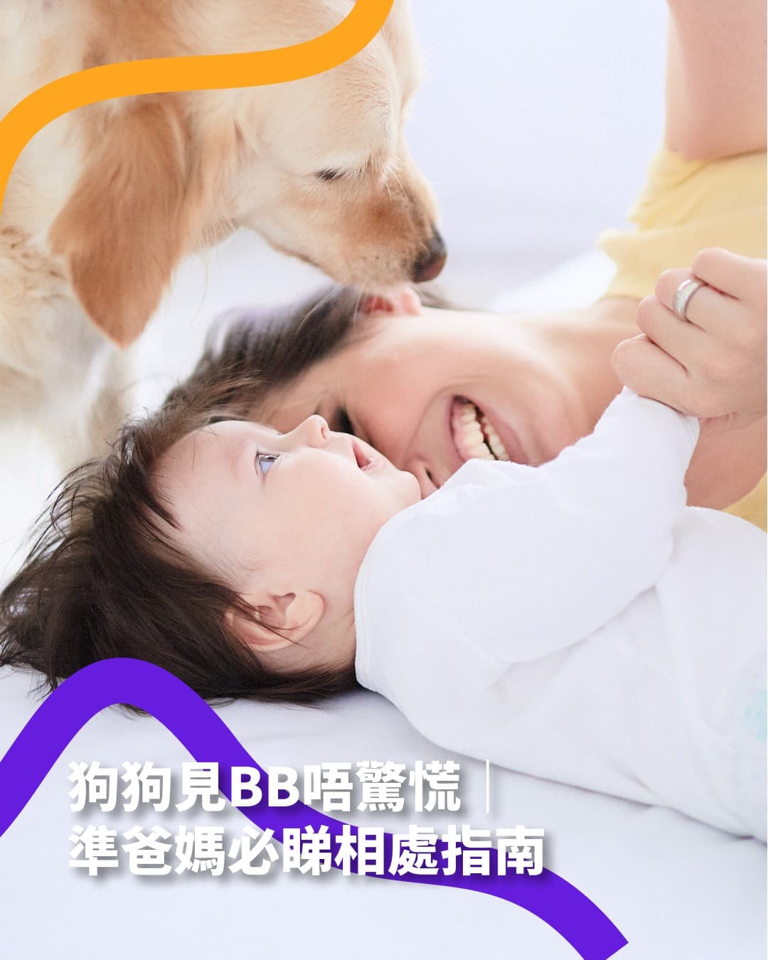 Dogs Meeting Babies Without Panic — A Must-Read Guide for Expecting Parents