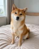 Mochi
